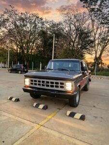 Ford F1000 1989