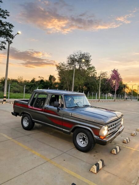 Ford F1000 1989